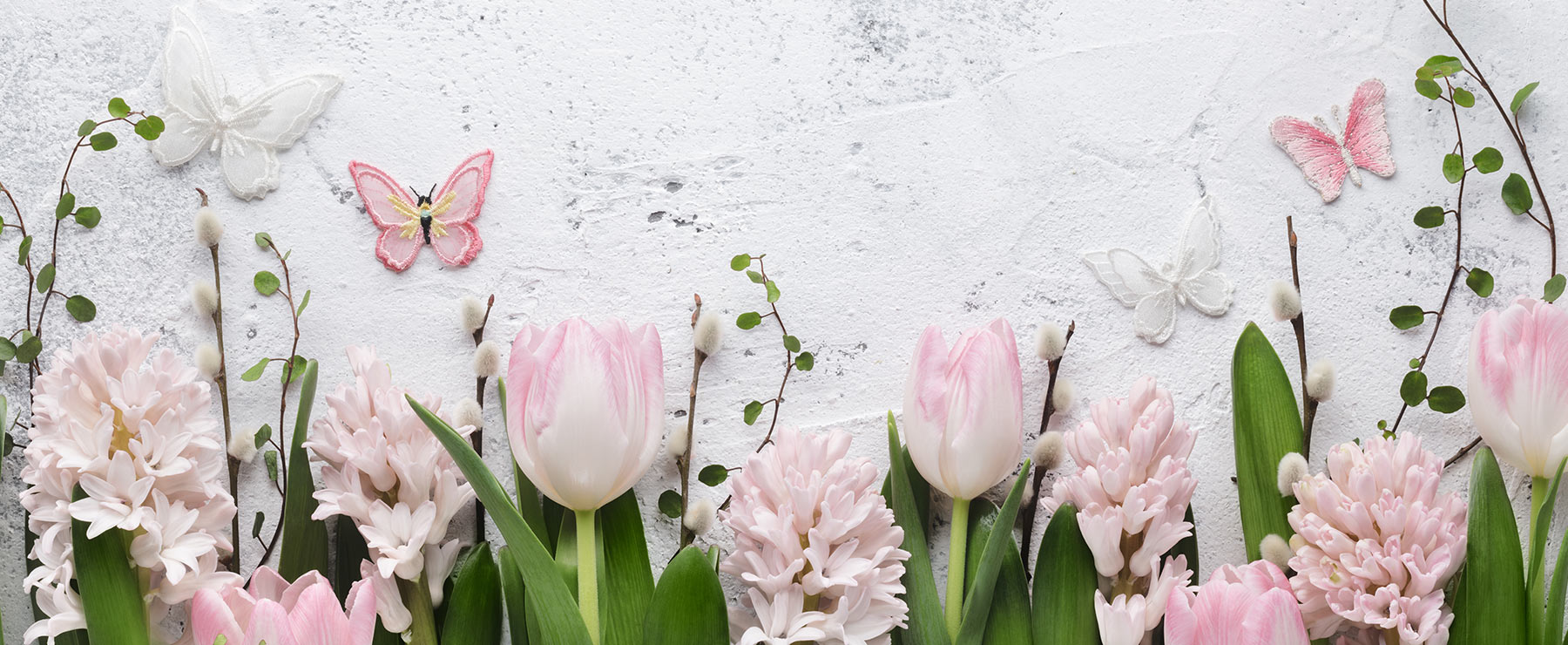 Fast, Responsive and Easy to Use